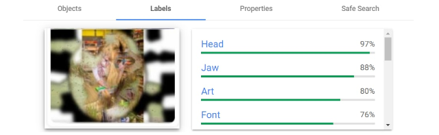 Google Vision result: Meaningful classification of the nonsense image